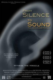 Profilový obrázek - From Silence to Sound