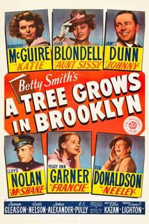 Profilový obrázek - V Brooklynu roste strom