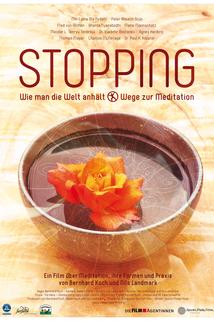 Stopping