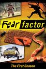 Faktor strachu (2001)