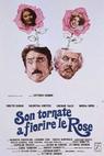 Son tornate a fiorire le rose 
