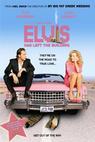 Elvis už odešel (2004)