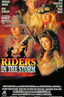 Profilový obrázek - Riders in the Storm