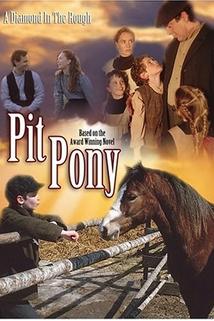 Profilový obrázek - Pit Pony