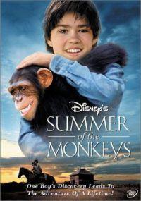 Profilový obrázek - Summer of the Monkeys