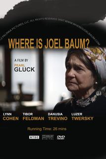 Profilový obrázek - Where Is Joel Baum?