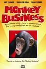 Monkey Business 