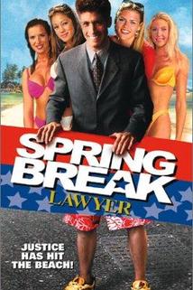 Profilový obrázek - Spring Break Lawyer