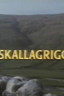 Profilový obrázek - Skallagrigg