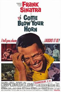 Pojď si zařádit  - Come Blow Your Horn