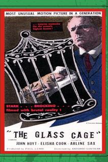 Profilový obrázek - The Glass Cage