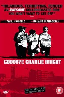Profilový obrázek - Goodbye Charlie Bright
