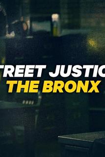 Profilový obrázek - Street Justice: The Bronx