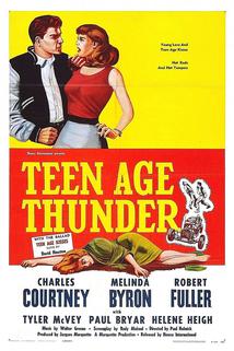 Profilový obrázek - Teenage Thunder