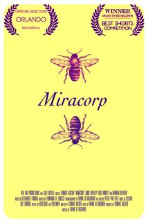 Profilový obrázek - Miracorp