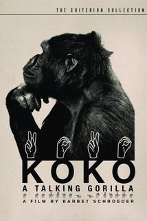 Profilový obrázek - Koko, le gorille qui parle