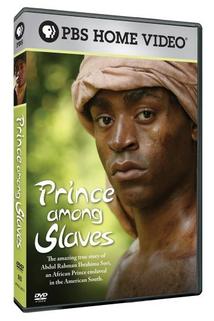 Profilový obrázek - Prince Among Slaves