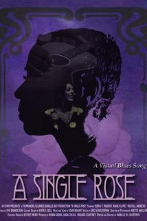 Profilový obrázek - A Single Rose