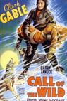 The Call of the Wild (1935)