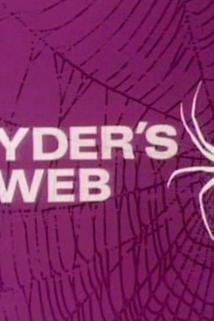 Profilový obrázek - Spyder's Web
