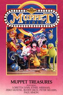Profilový obrázek - Muppet Video: Muppet Treasures