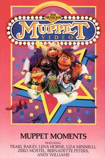 Profilový obrázek - Muppet Video: Muppet Moments