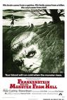 Frankenstein a pekelná stvůra (1974)