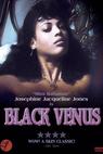 Black Venus 