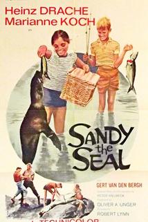 Sandy the Seal