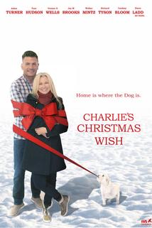Profilový obrázek - Charlie's Christmas Wish