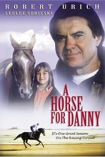 Profilový obrázek - Kůň pro Danny