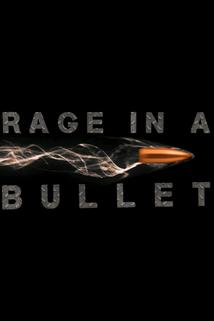Profilový obrázek - Rage in a Bullet