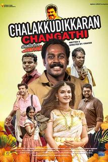 Profilový obrázek - Chalakkudykkaran Changathy
