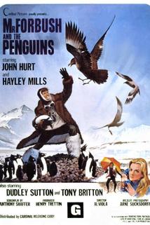 Profilový obrázek - Mr. Forbush and the Penguins