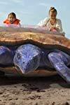 Profilový obrázek - Fossil Finders - Dino Rescue Train