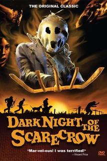 Profilový obrázek - Dark Night of the Scarecrow