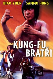 Profilový obrázek - Kung-fu bratři