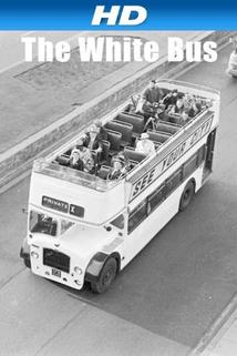 Profilový obrázek - Bílý autobus