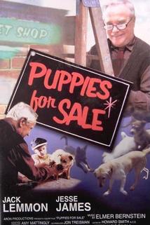 Profilový obrázek - Puppies for Sale