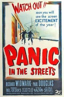 Panika v ulicích
