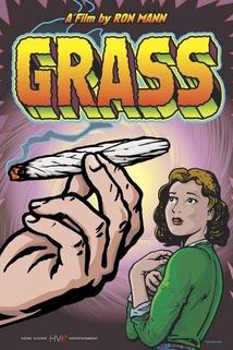 Grass  - Grass
