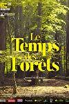Profilový obrázek - Le temps des forêts