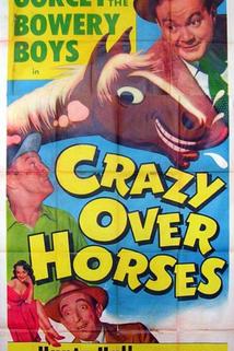 Crazy Over Horses  - Crazy Over Horses