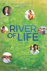 River of Life - Loire 