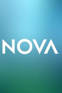 Profilový obrázek - Nova
