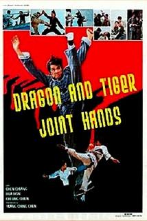 Profilový obrázek - The Dragon and Tiger Joint Hands