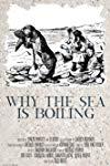 Profilový obrázek - Why the Sea Is Boiling