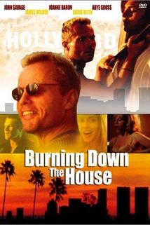 Burning Down the House  - Burning Down the House