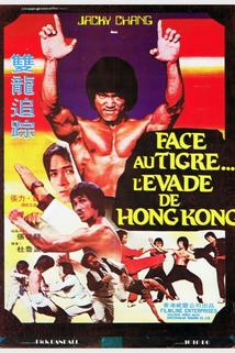 Profilový obrázek - Bruce Lee's Dragons Fight Back