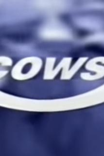 Profilový obrázek - Cows